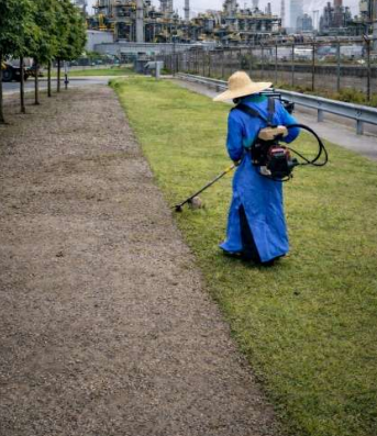 Grass Cutting and Lawn Maintenance